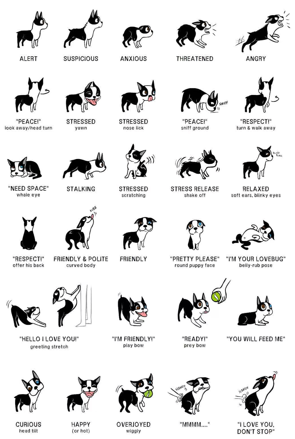 Dog Body Language Canine Communication: Understanding Your Dog's Body Language and Signals 1